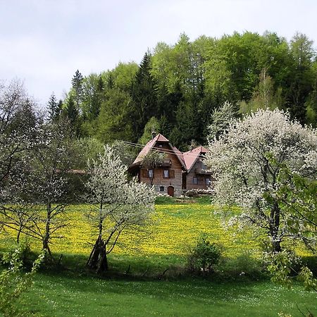 Konaci Zaovljanska Jezera Apartment Zaovine Bagian luar foto