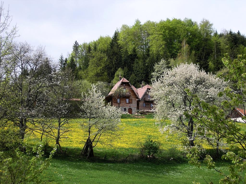 Konaci Zaovljanska Jezera Apartment Zaovine Bagian luar foto