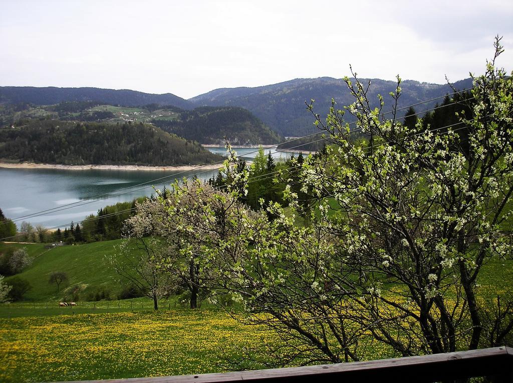 Konaci Zaovljanska Jezera Apartment Zaovine Bagian luar foto