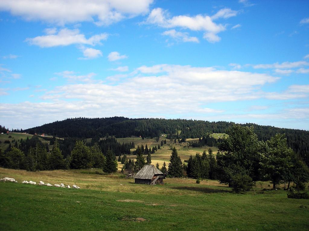 Konaci Zaovljanska Jezera Apartment Zaovine Bagian luar foto